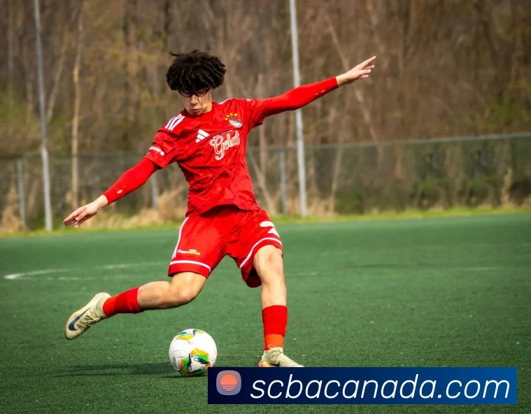 星空官网服务体系